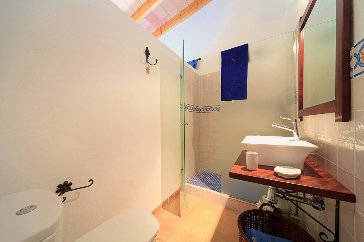 A bright bathroom with white walls, terracotta floors, a modern vessel sink, glass shower, and toilet. Features blue decorative tiles and a sloped ceiling with wood beams.