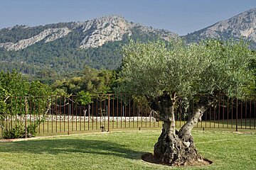 A fence surrounds a lush green field with mountains in the background