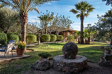 A lush green garden with palm trees and a stone fountain