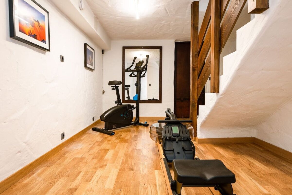 A gym with a bike and a rowing machine