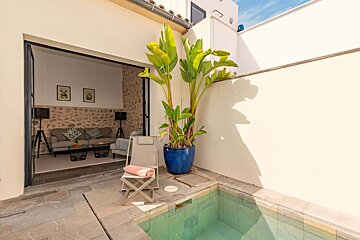 A blue potted plant sits next to a swimming pool