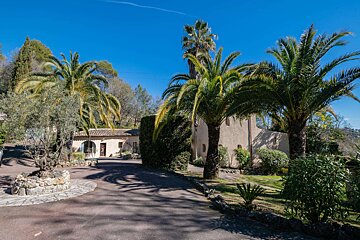A driveway leading to a house surrounded by palm trees