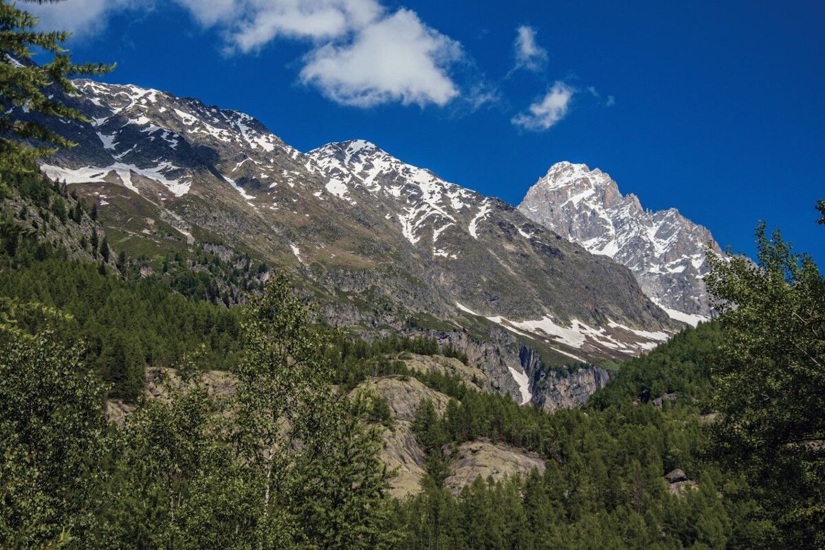 A mountain covered in snow and trees with a blue sky in the background