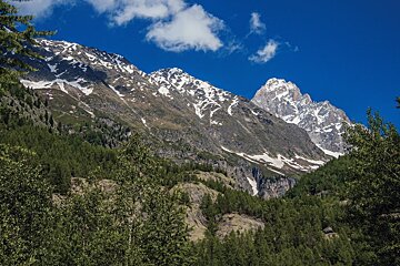 A mountain covered in snow and trees with a blue sky in the background