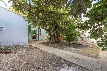 A white building with a green door is surrounded by trees and dirt