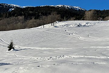 A snowy landscape with trees and mountains in the background