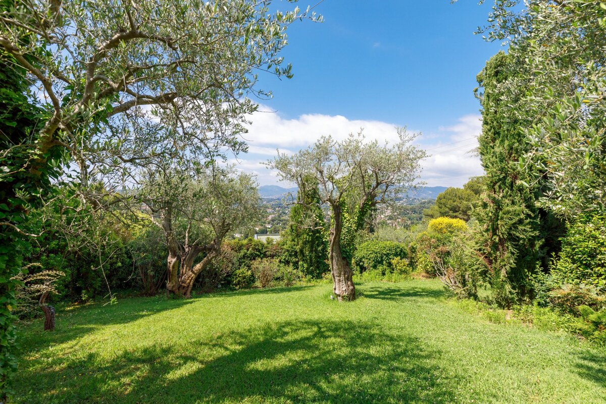 A lush green lawn surrounded by trees and bushes with mountains in the background