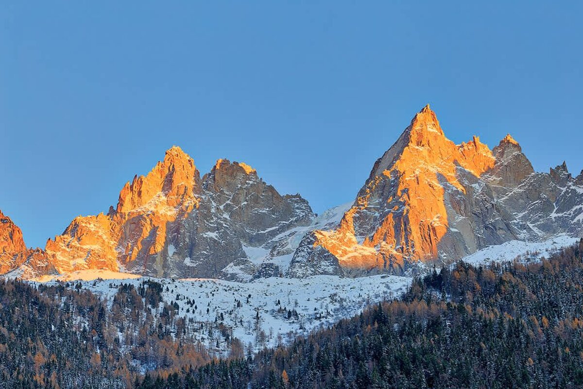 Golden sunlight illuminates majestic, snow-dusted mountain peaks rising above a dense pine forest under a clear blue sky.