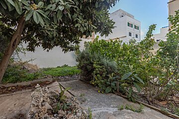 A lush green garden with a white building in the background