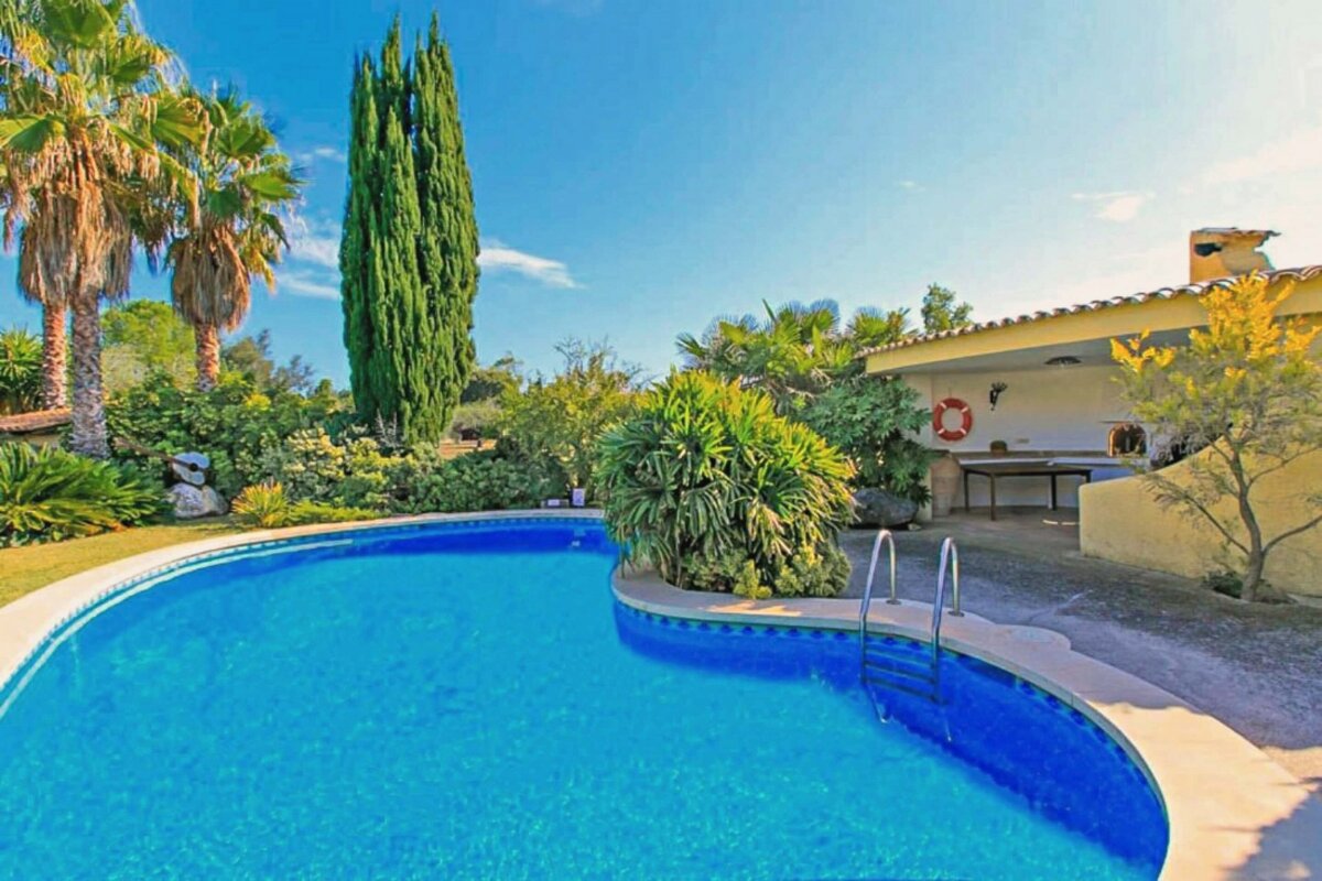 A large swimming pool surrounded by palm trees and a house