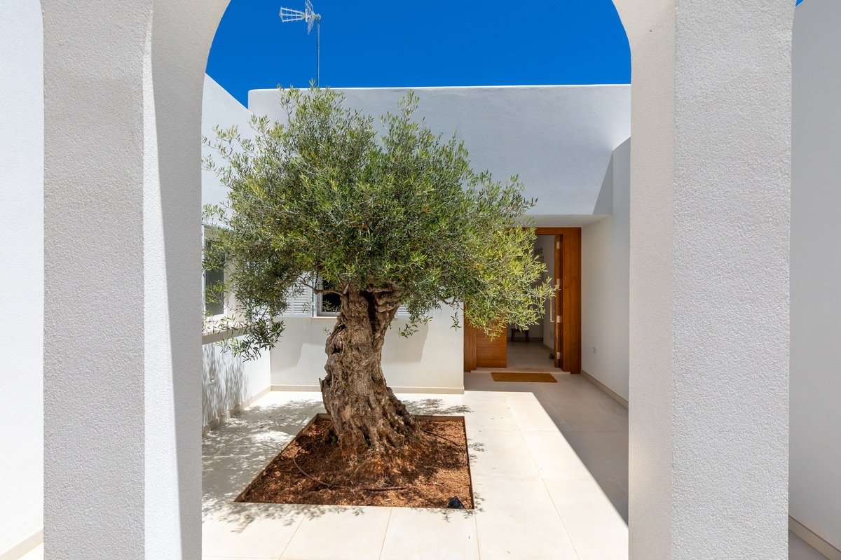 A white building with a tree in the middle of it