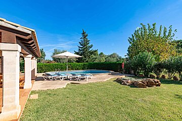A sunny backyard features a house patio, blue swimming pool with loungers & umbrella, green lawn, and lush trees under a clear sky.
