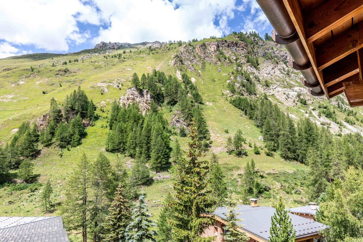 A green mountain slope densely covered in evergreen trees and rocks under a blue, cloudy sky, with houses visible below, viewed from a building's eaves.