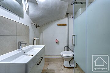 A bathroom with a toilet and a sink with alpine property written on the wall