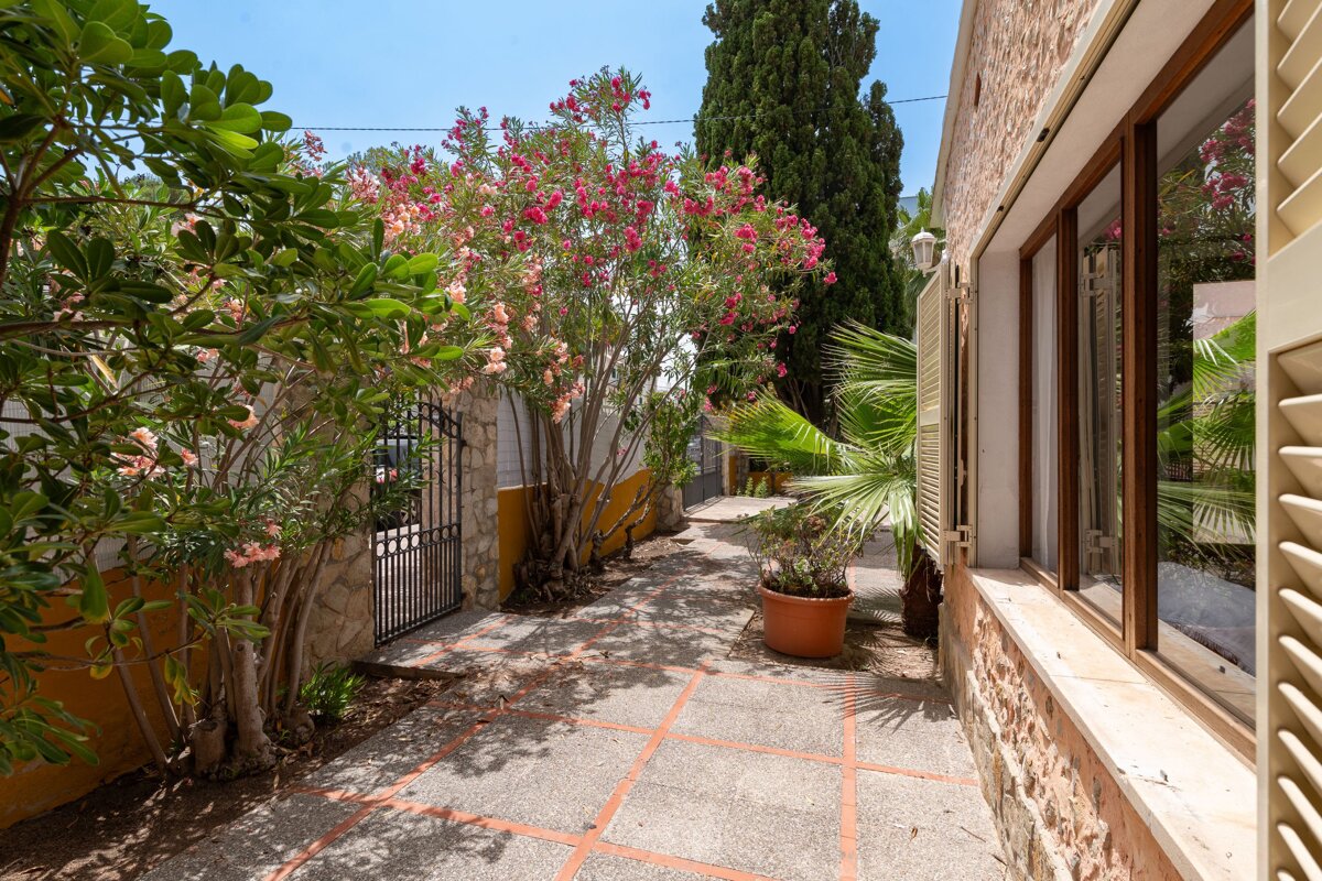 A patio with a potted plant in front of a building