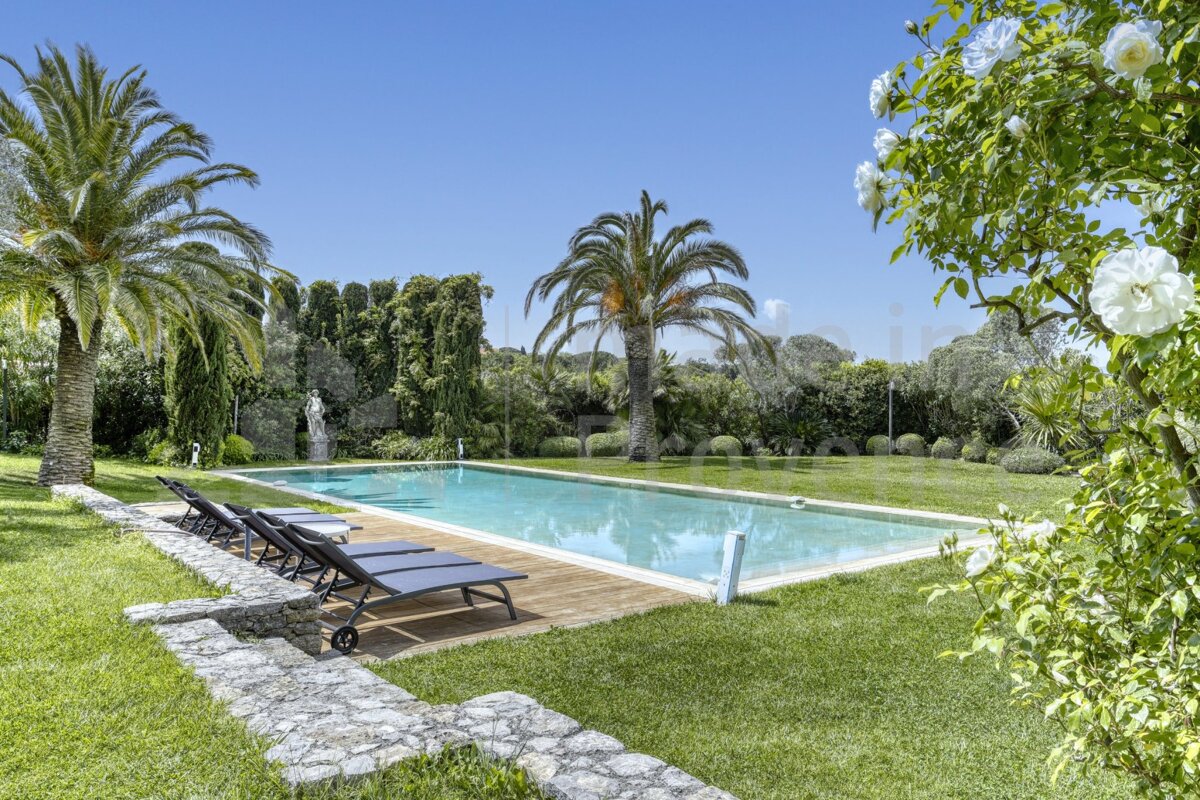 A large swimming pool is surrounded by palm trees and a stone wall