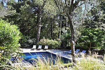 A large swimming pool surrounded by trees and chairs