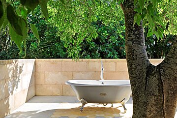 A bathtub is surrounded by trees in a bathroom
