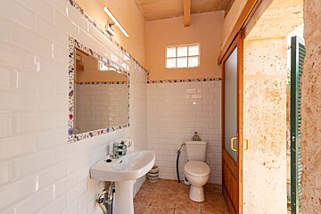 A bathroom with a sink and toilet and a mirror