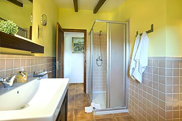 A bathroom with a sink and a walk in shower