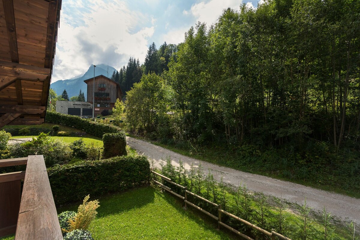 A view of a lush green forest from a balcony