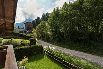 A view of a lush green forest from a balcony