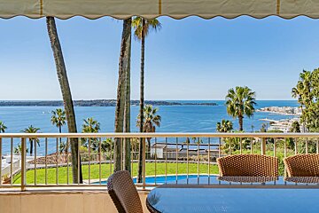 A stunning balcony view overlooking palm trees, a swimming pool, and the deep blue sea under a clear sky.
