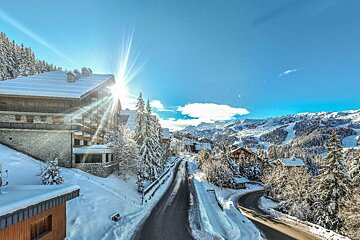 The sun shines brightly through the snow covered trees