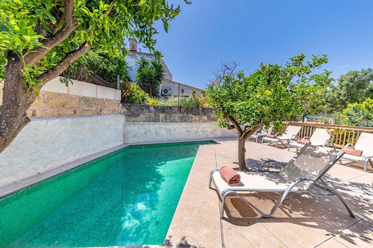 A swimming pool is surrounded by chairs and a tree