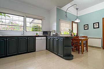 A bedroom with blue walls and a blue bed