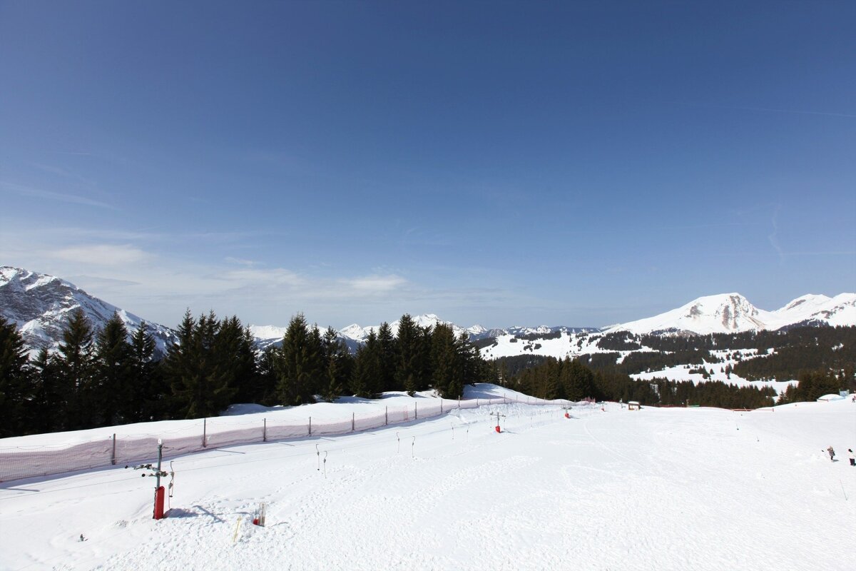 A wide, snow-covered ski slope with pine trees under a clear blue sky, leading to distant snow-capped mountains in a vast winter landscape.