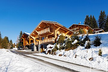 A large wooden house is surrounded by snow and trees