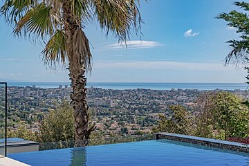 An infinity pool with a palm tree, overlooking a city and the blue ocean under a clear sky.