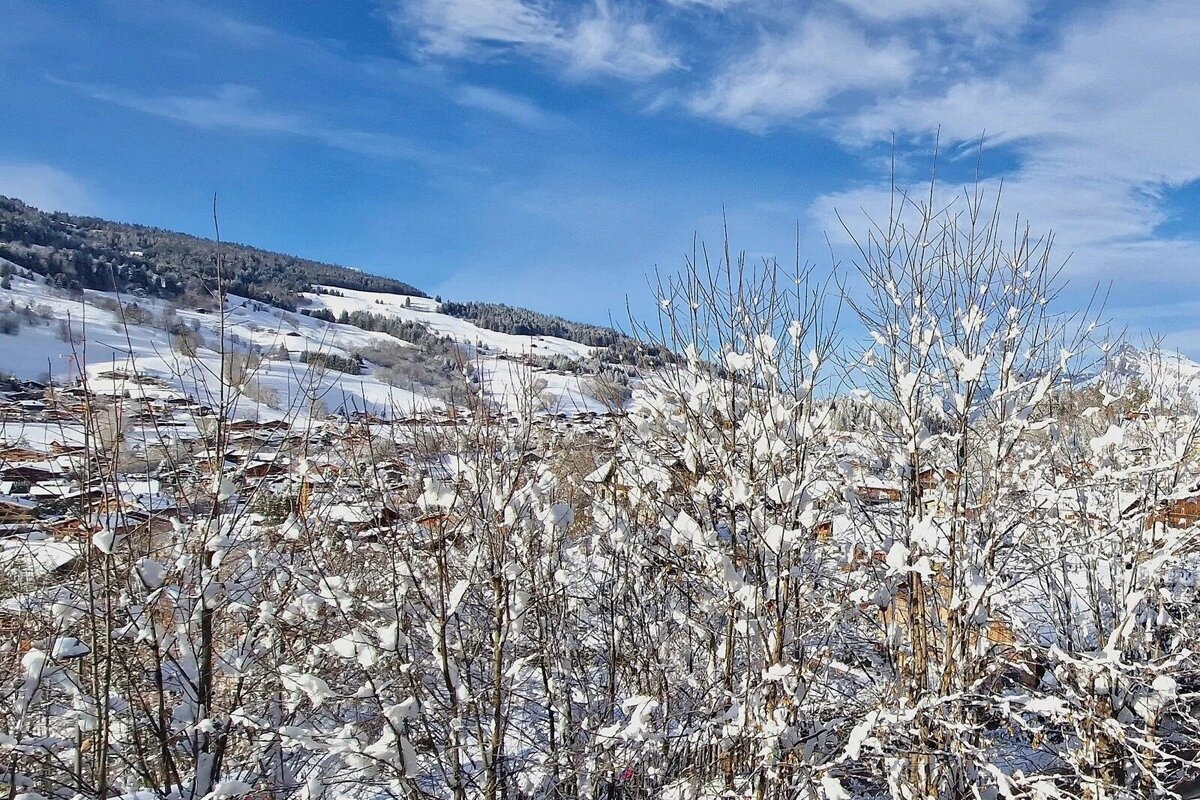 Snow-covered trees overlook a winter village nestled on a snowy mountainside under a bright blue sky.