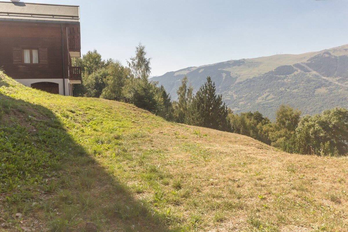 A lush green hillside with mountains in the background