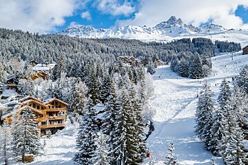 A snowy landscape with mountains in the background