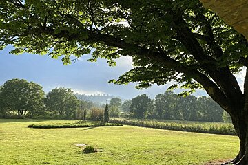 A sunny, misty landscape with a lush green lawn, distant trees and hills, framed by the bright leaves of a large foreground tree.