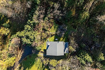 Aerial shot: a gray-roofed house surrounded by dense, mixed forest foliage, showing both green and bare trees, with a small path.