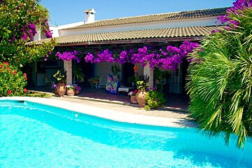 A swimming pool in front of a house with purple flowers