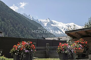 Stunning Mont Blanc scenery: snow-capped peaks, a green forest, and vibrant flowers in pots against a clear blue sky.