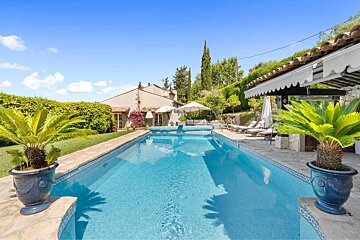 A sunny backyard with a long blue swimming pool flanked by potted palms, with lounge chairs and a villa under a clear blue sky.