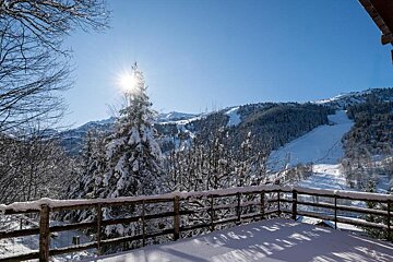 The sun is shining through the snow covered trees