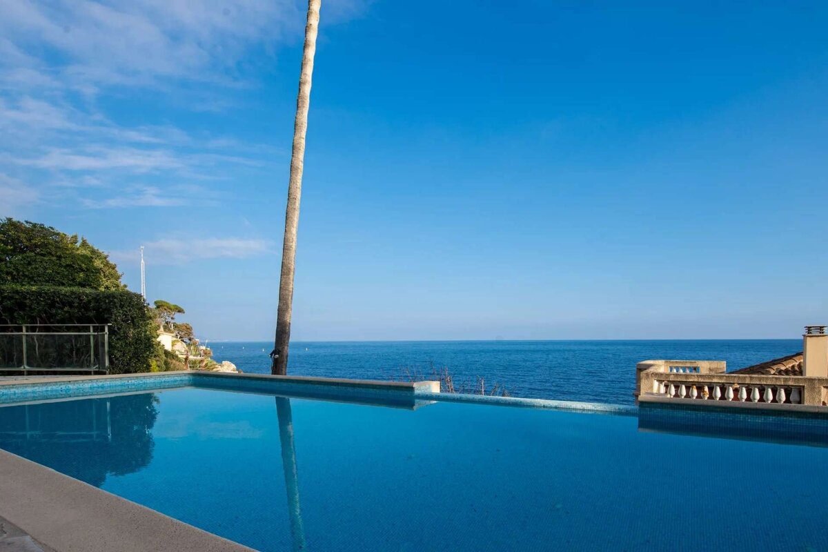 An infinity pool with blue tiled water overlooks a calm blue ocean under a clear sky, framed by a tall palm tree and coastal greenery.