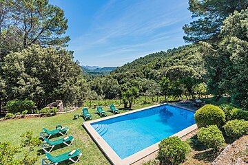 A large swimming pool surrounded by green chairs and trees