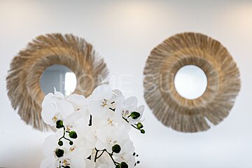 A vase of white flowers sits in front of two mirrors that say home su