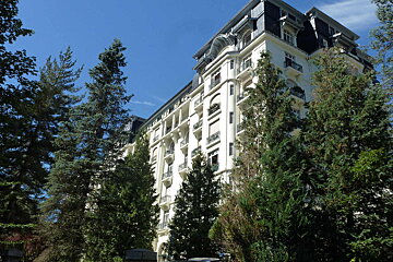 Snow covered trees in front of a tall building