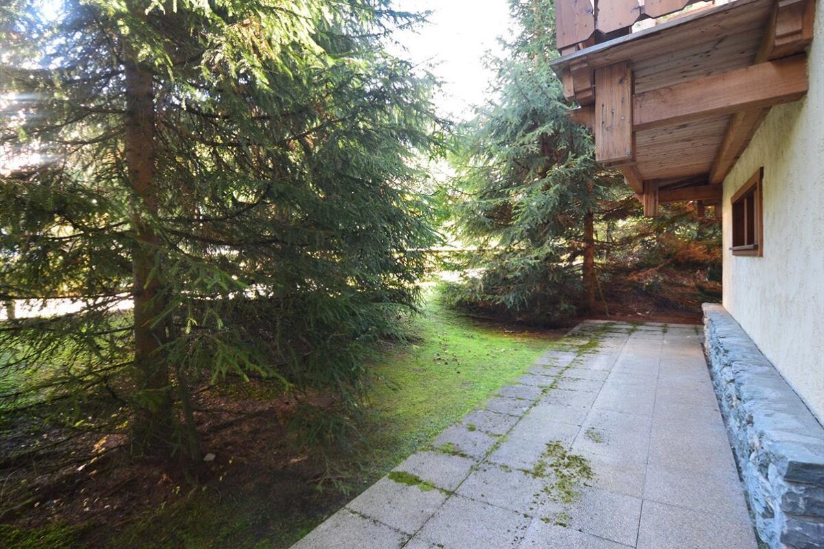 A sunny patio next to a building with a wooden overhang, framed by lush green grass and tall pine trees.