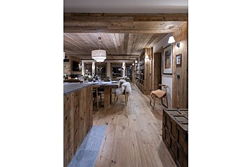 A dog standing in a hallway in a wooden house