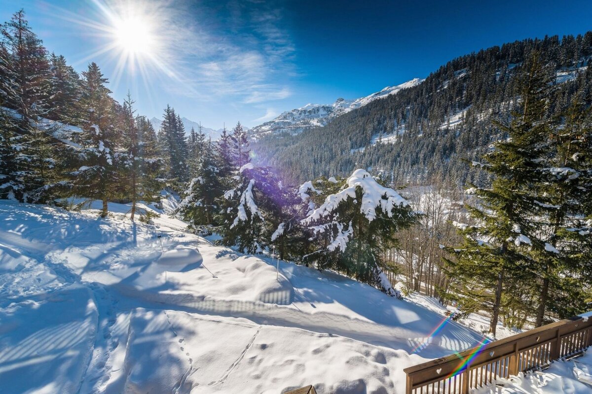 A snowy landscape with trees and mountains in the background