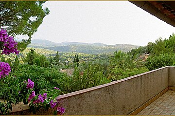 A balcony overlooking a lush green valley with purple flowers in the foreground